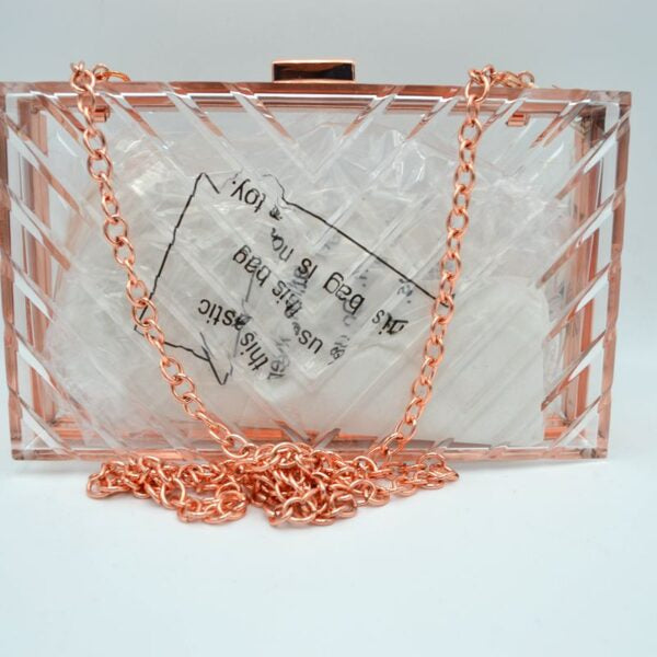 "Jade" Clear Acrylic Handbag