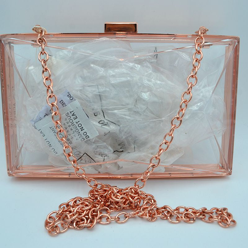 "Jade" Clear Acrylic Handbag